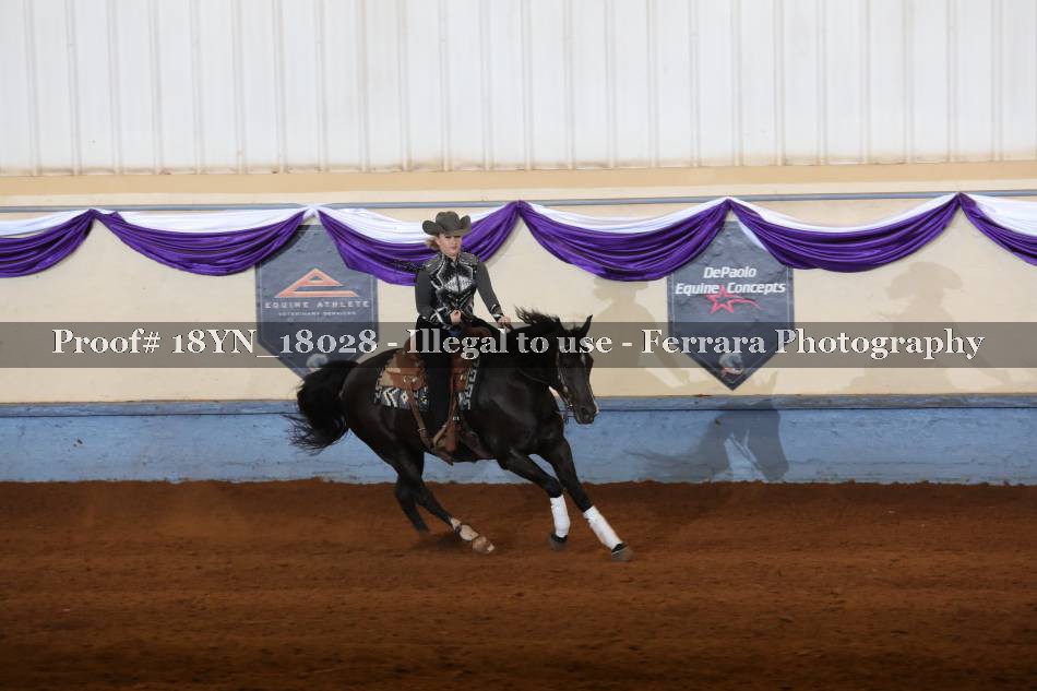 Proof 18YN_18028