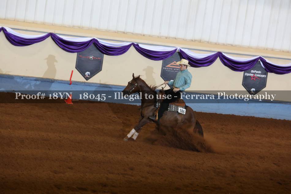 Proof 18YN_18045