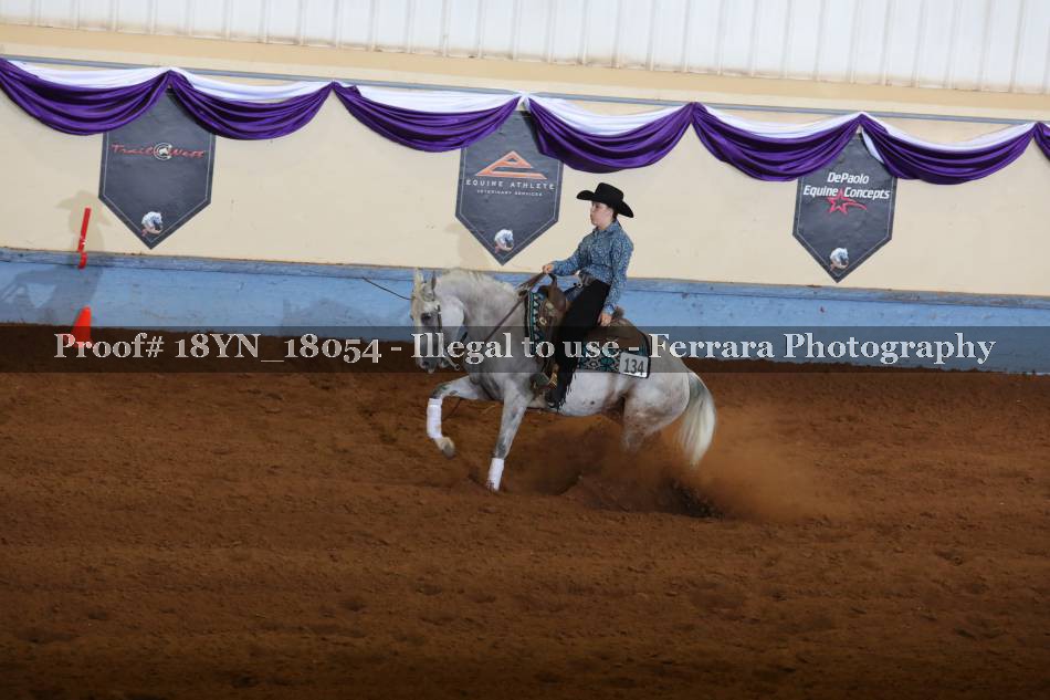 Proof 18YN_18054