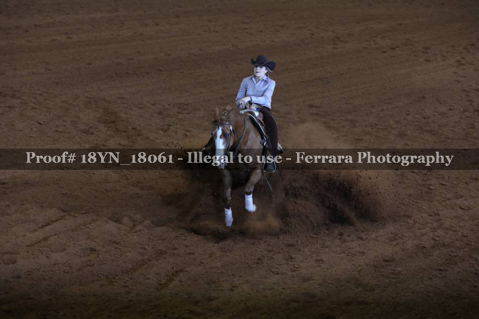 Proof 18YN_18061