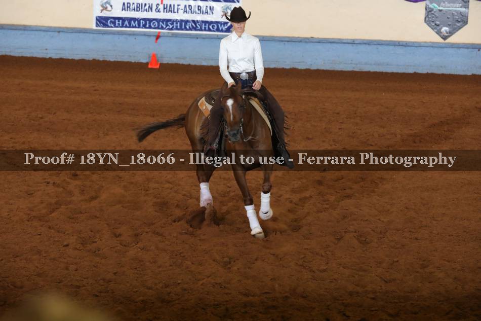 Proof 18YN_18066
