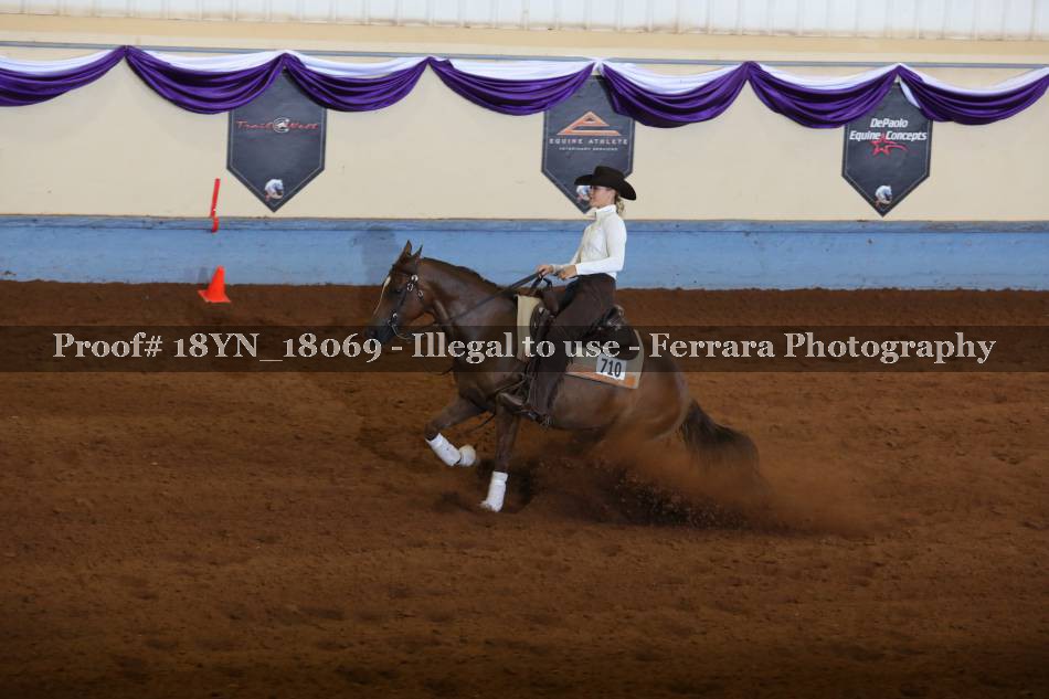 Proof 18YN_18069