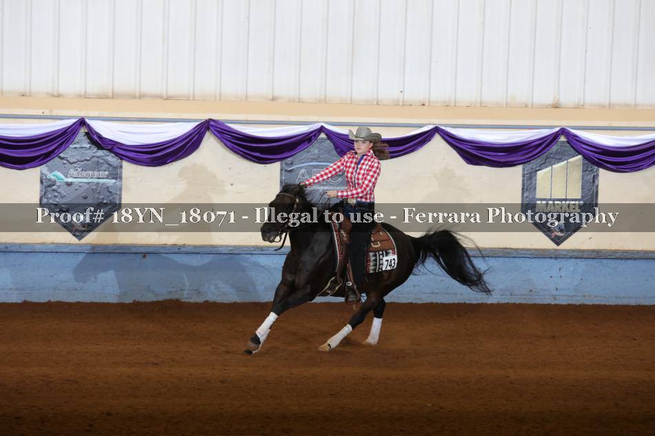 Proof 18YN_18071