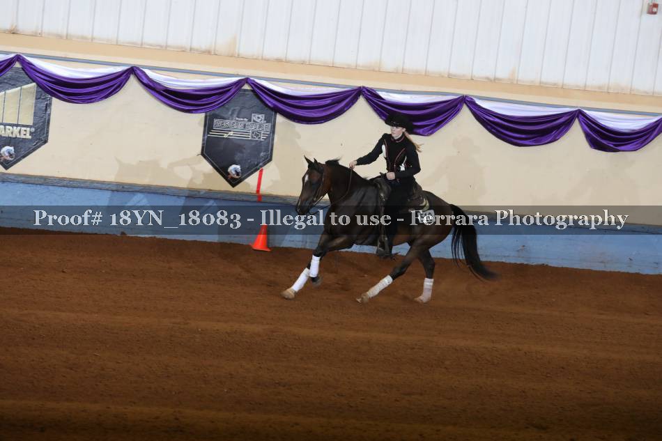 Proof 18YN_18083