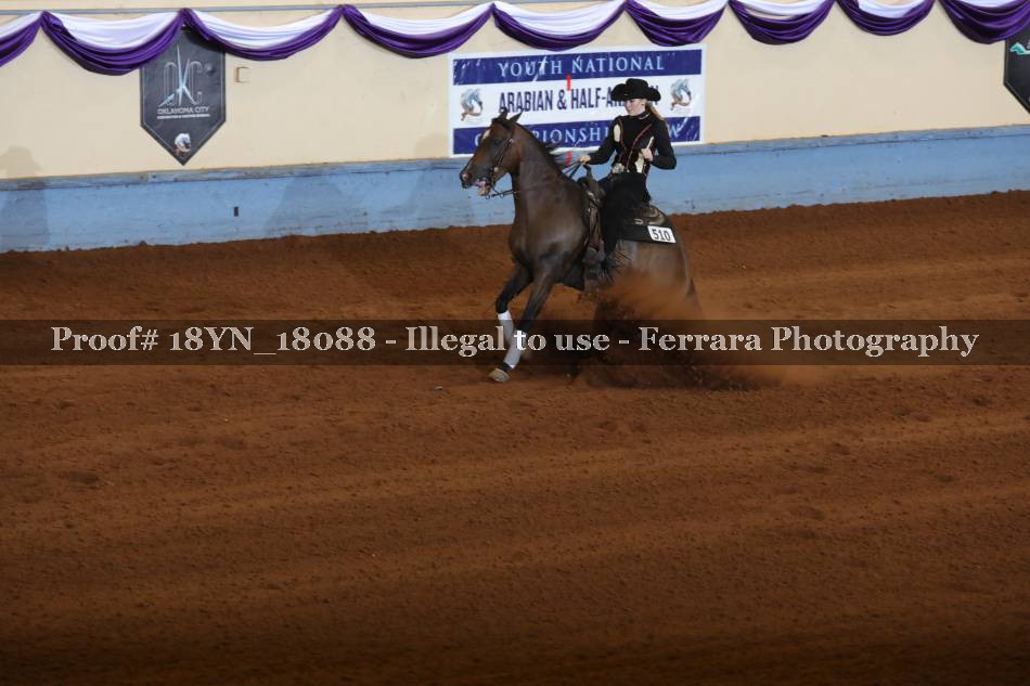 Proof 18YN_18088