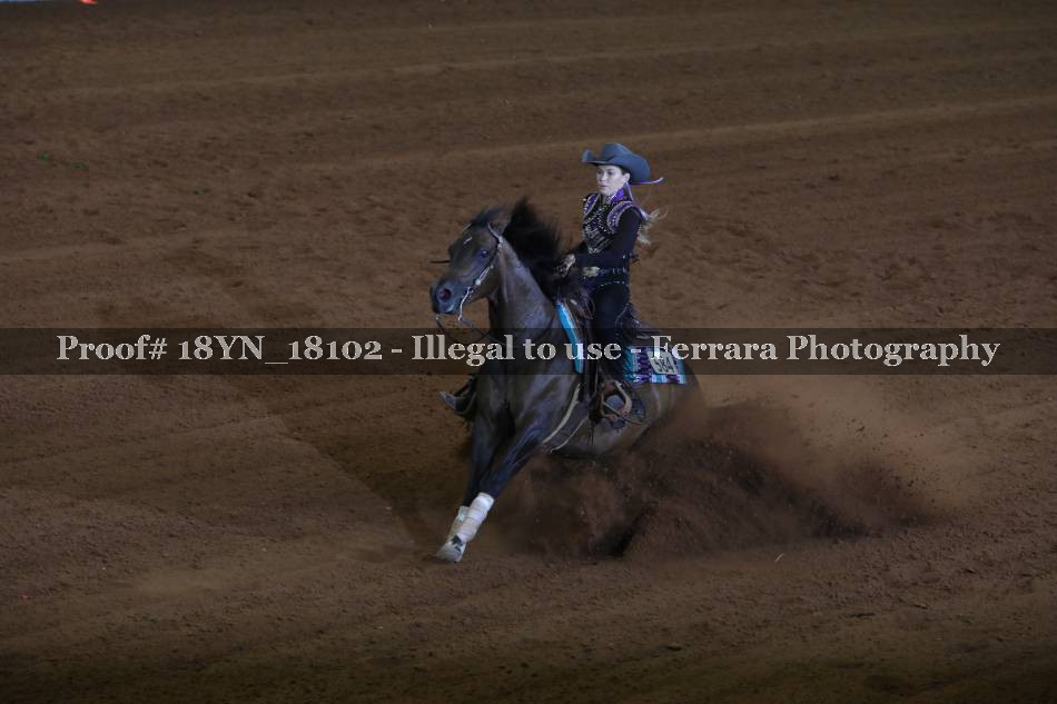 Proof 18YN_18102