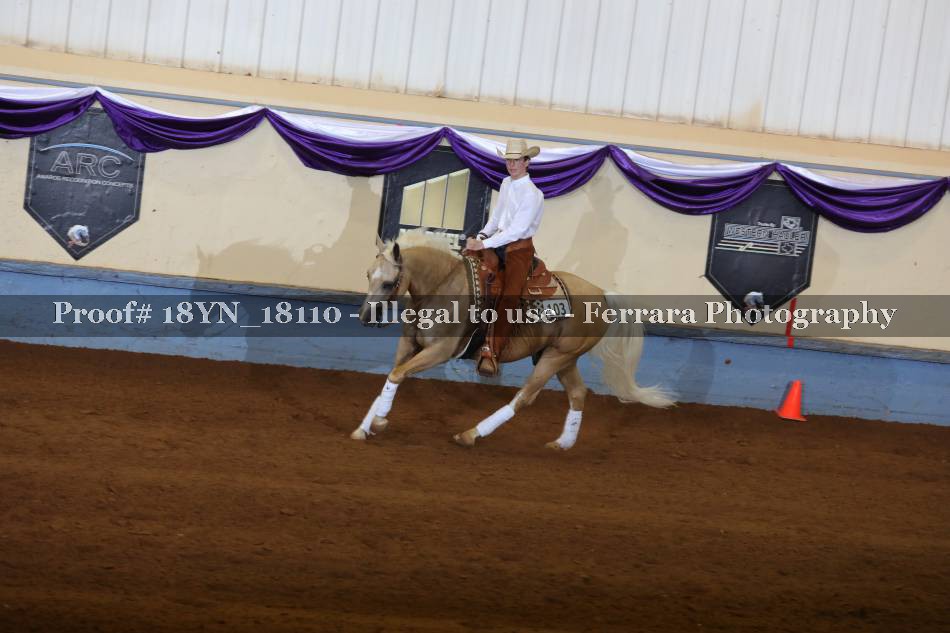 Proof 18YN_18110