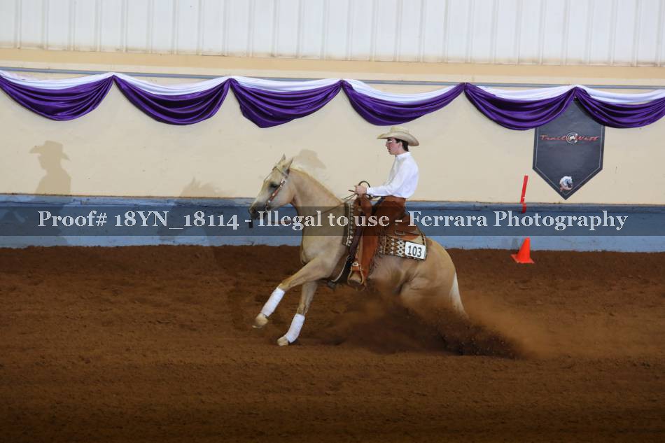 Proof 18YN_18114