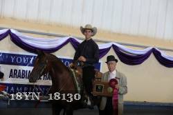 18YN_18130 proof