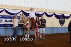 18YN_18210 proof