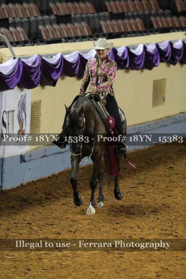 Proof 18YN_15383