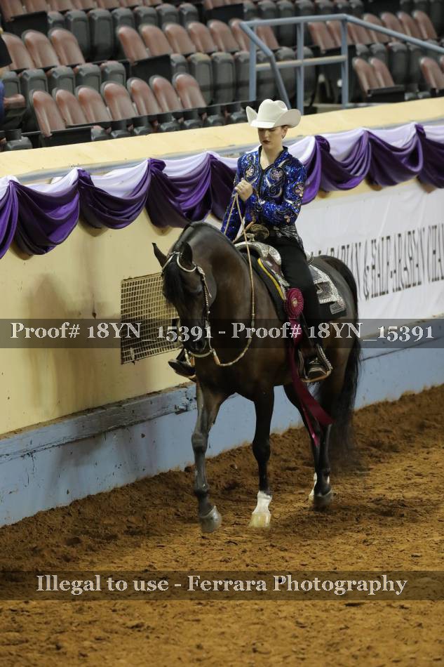 Proof 18YN_15391