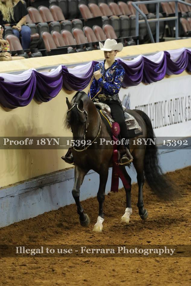 Proof 18YN_15392