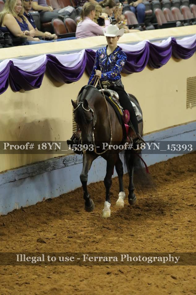 Proof 18YN_15393