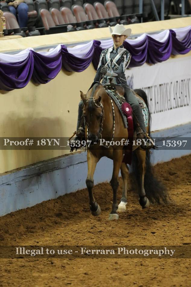 Proof 18YN_15397