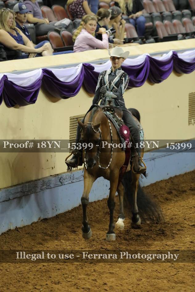 Proof 18YN_15399