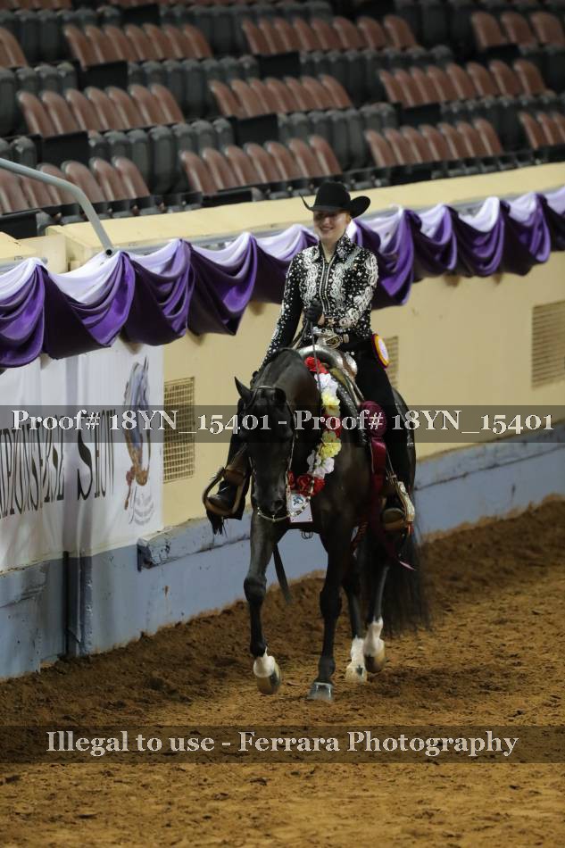 Proof 18YN_15401