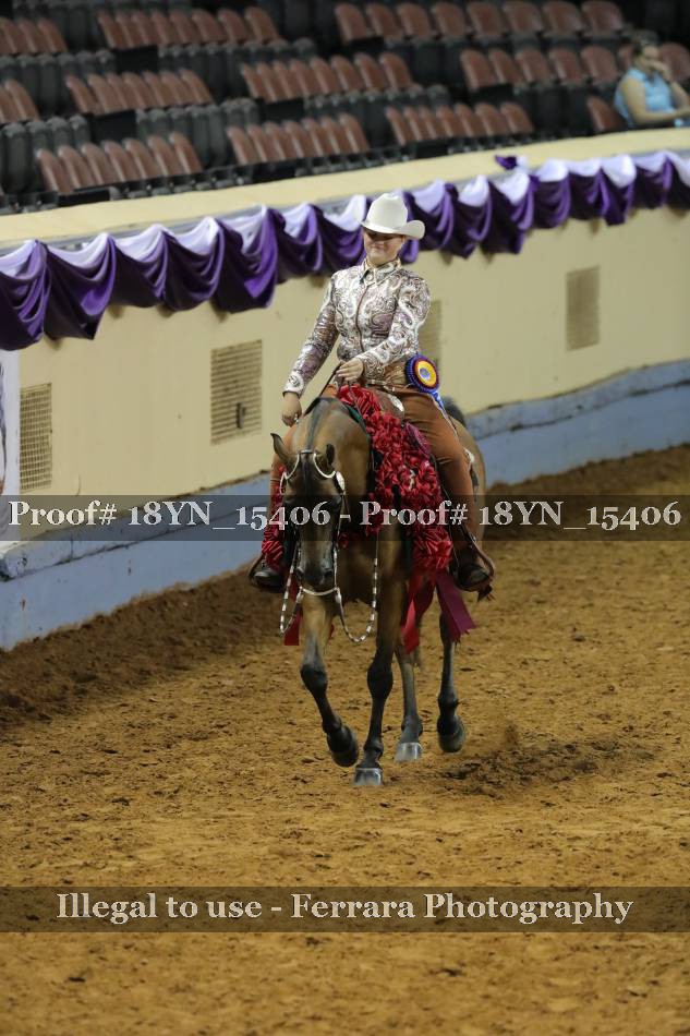 Proof 18YN_15406