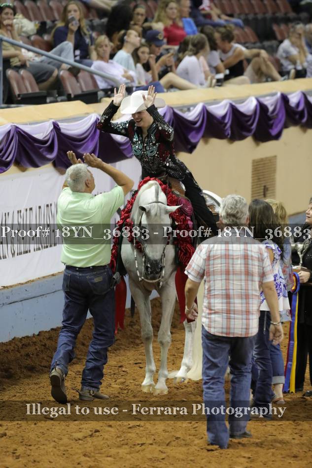 Proof 18YN_36883