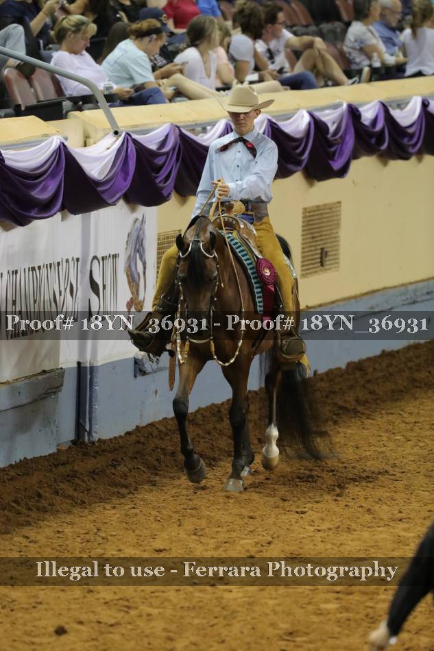 Proof 18YN_36931