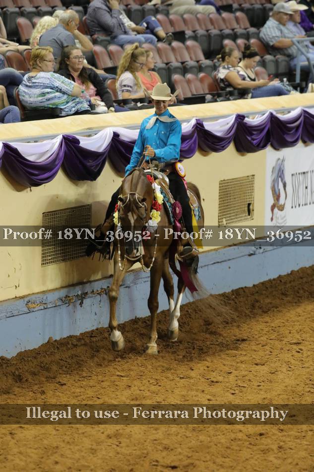 Proof 18YN_36952