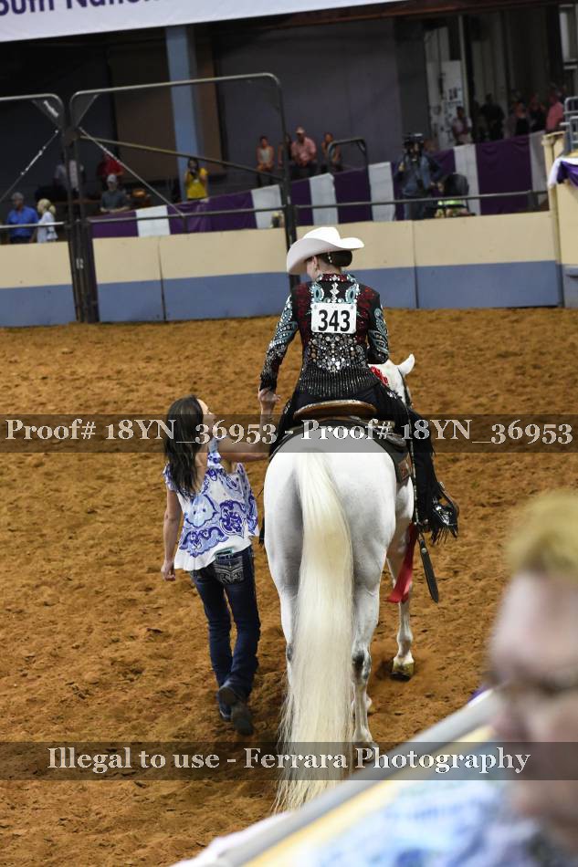 Proof 18YN_36953