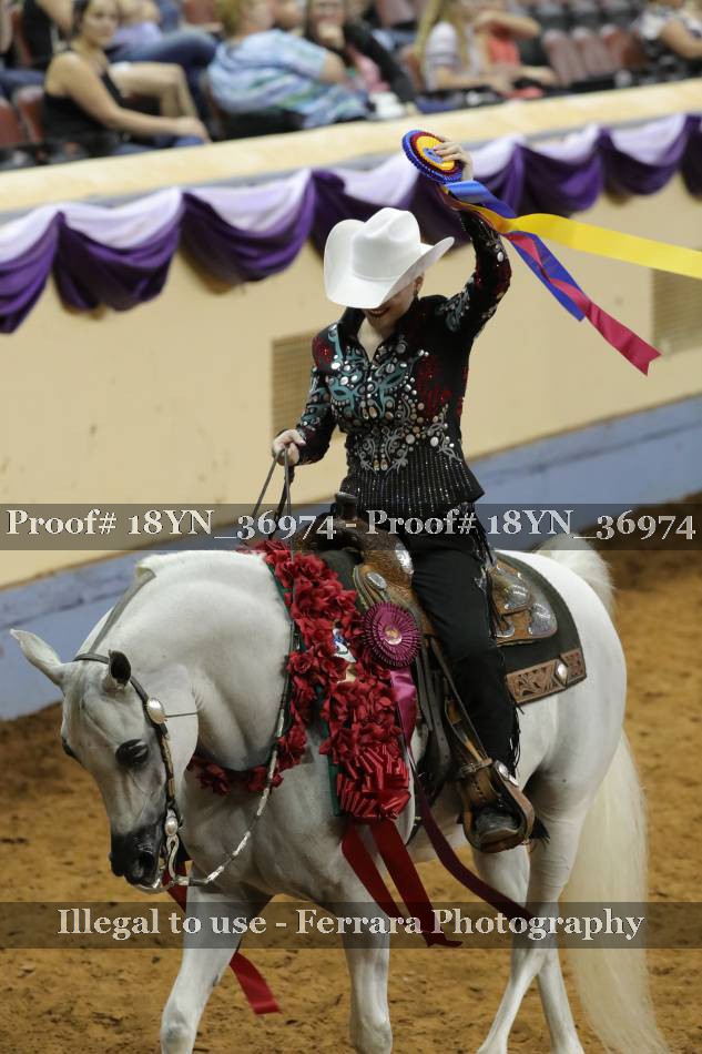 Proof 18YN_36974