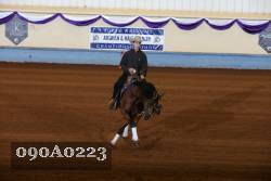 090A0223 proof