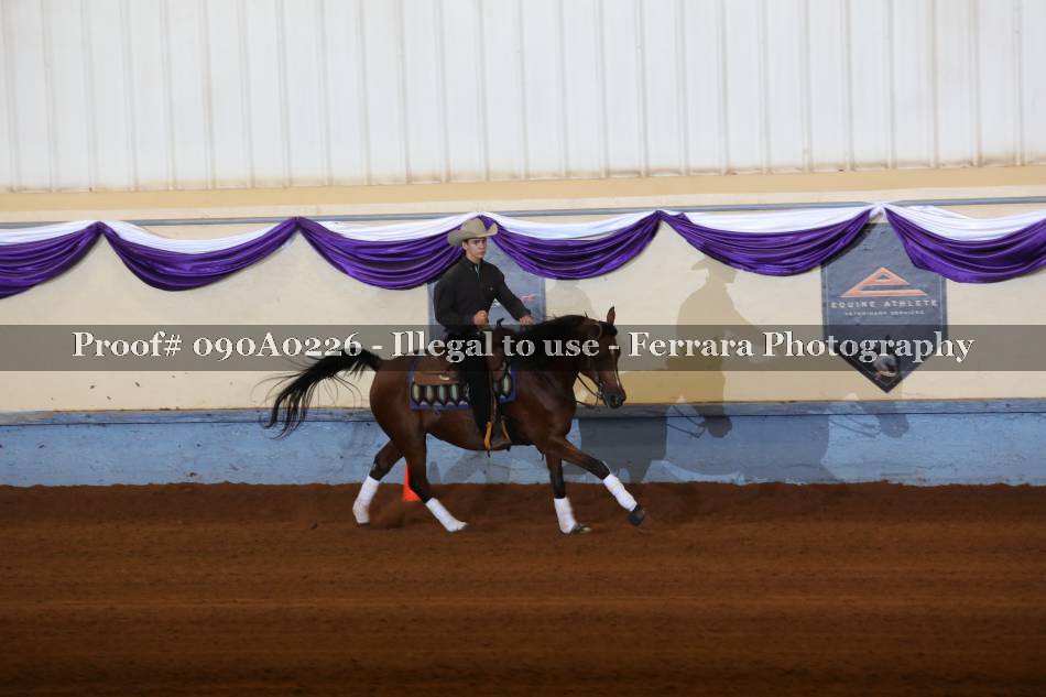 Proof 090A0226