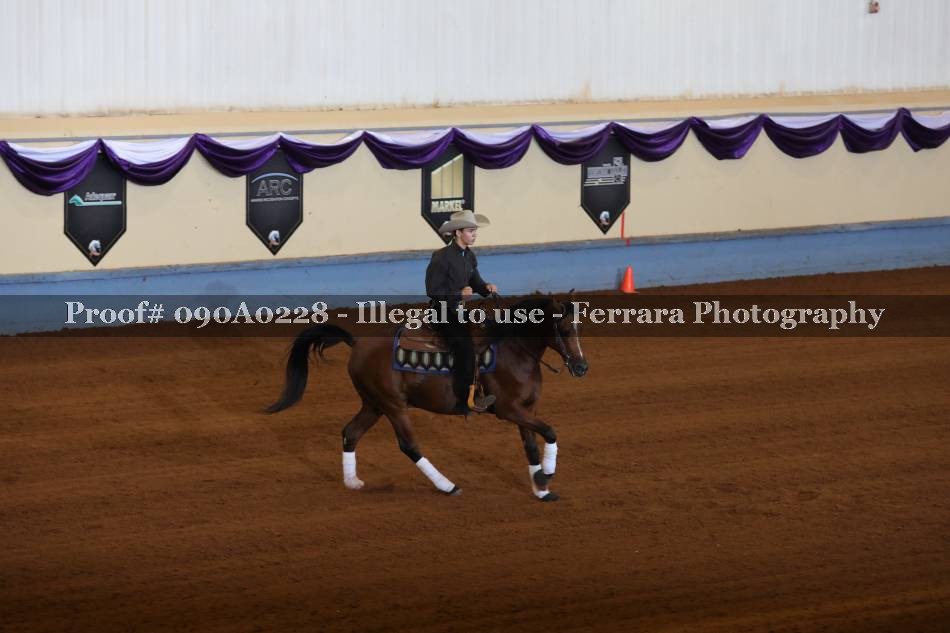Proof 090A0228