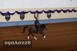 090A0228 proof