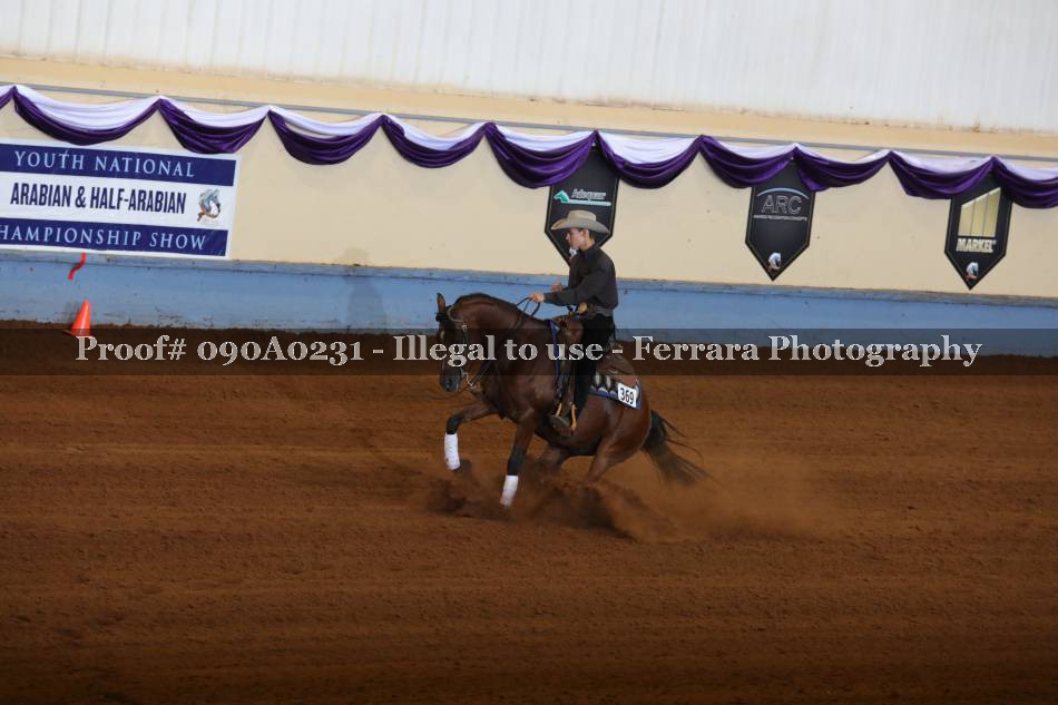Proof 090A0231