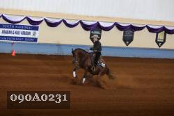 090A0231 proof