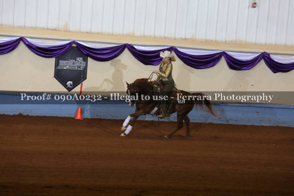 Proof 090A0232
