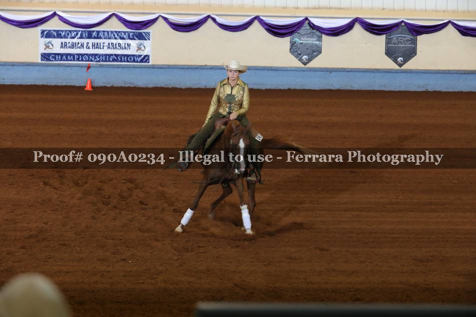 Proof 090A0234