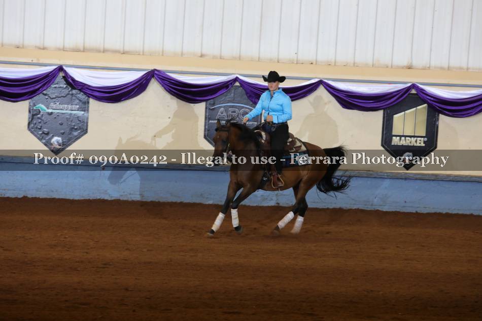 Proof 090A0242