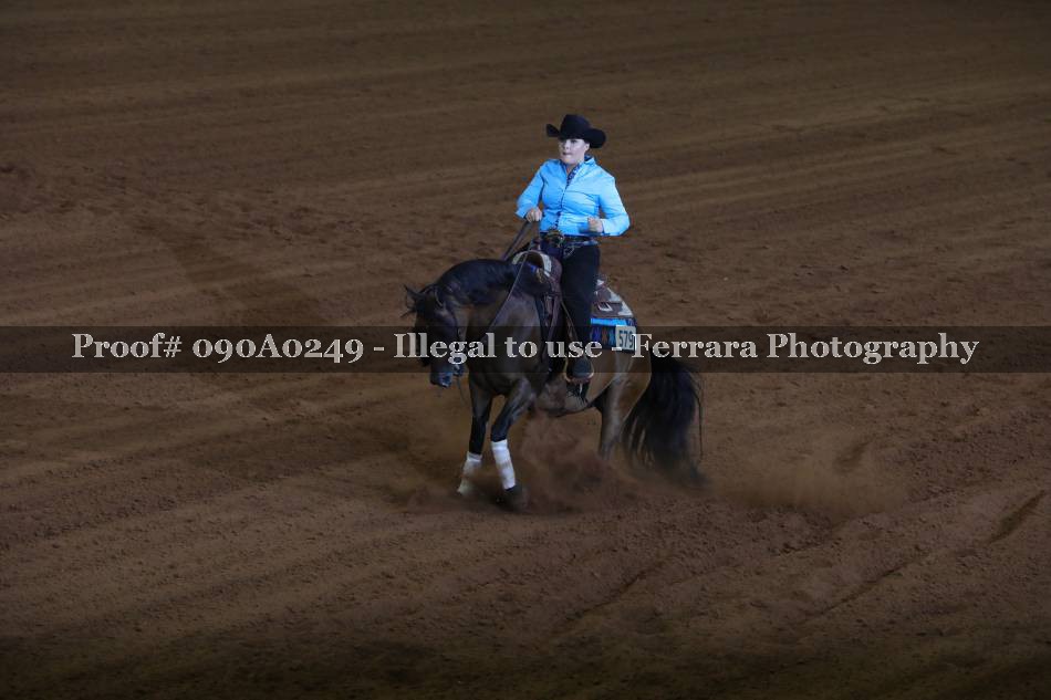 Proof 090A0249