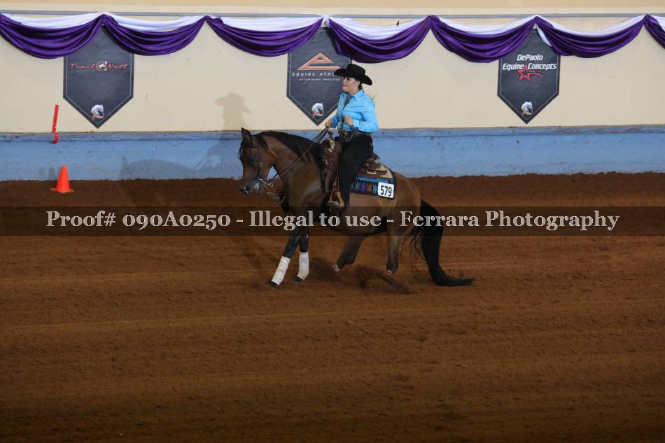 Proof 090A0250