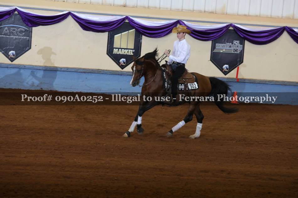 Proof 090A0252