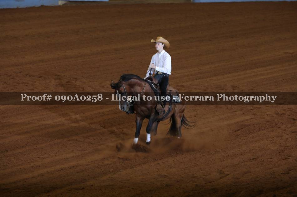 Proof 090A0258