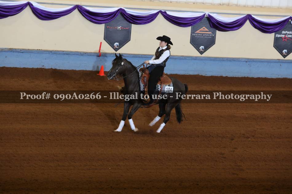 Proof 090A0266