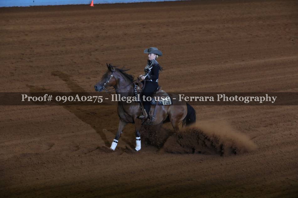 Proof 090A0275