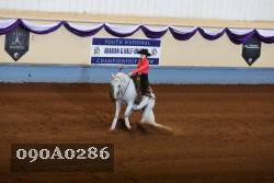 090A0286 proof
