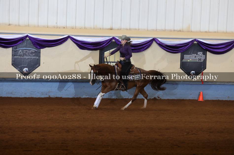 Proof 090A0288