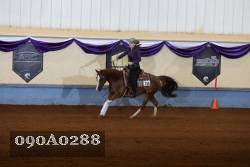 090A0288 proof