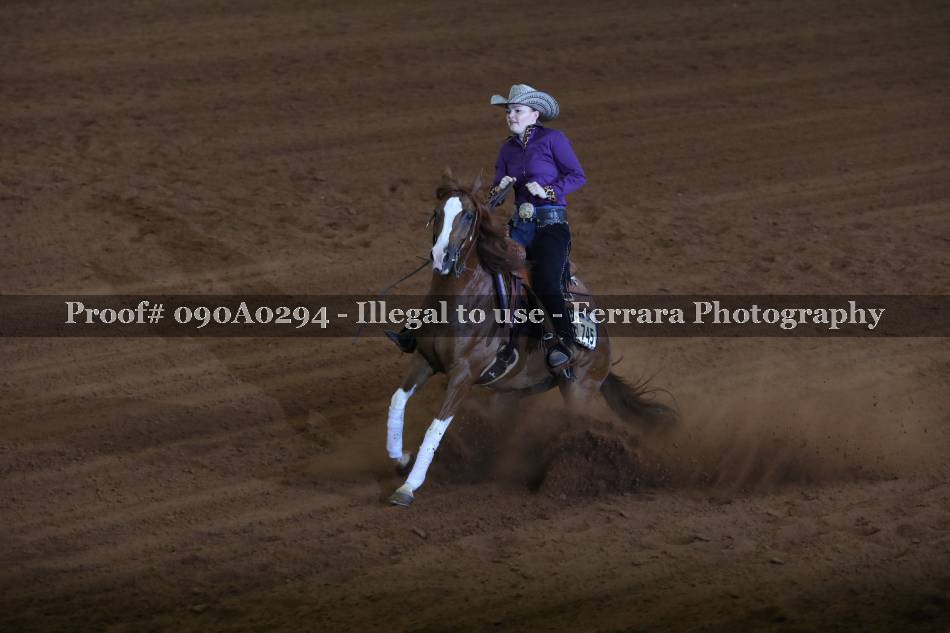 Proof 090A0294