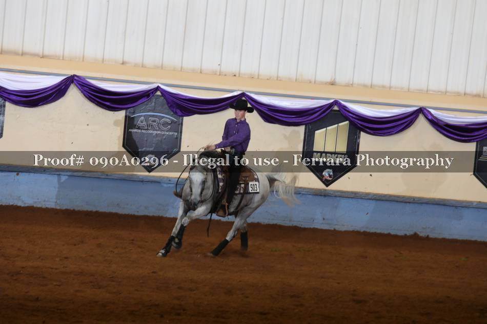 Proof 090A0296
