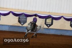 090A0296 proof