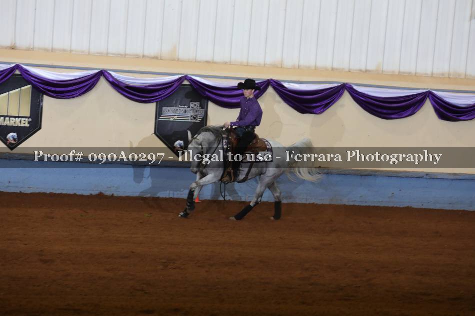 Proof 090A0297