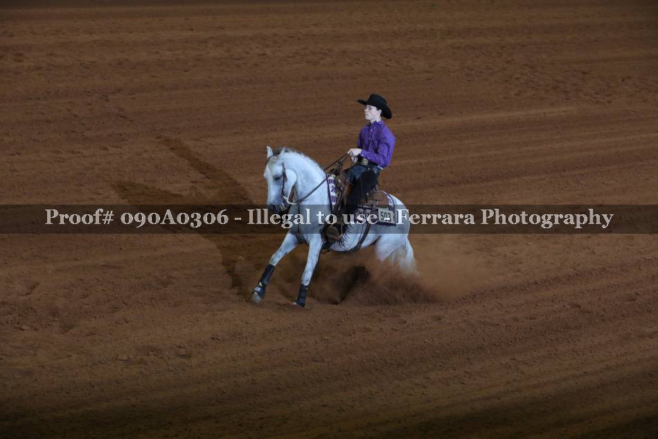 Proof 090A0306